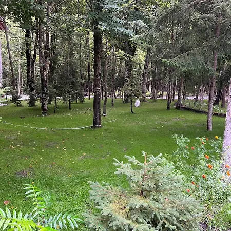 Hotell Bujtina Aroma E Malit Valbona