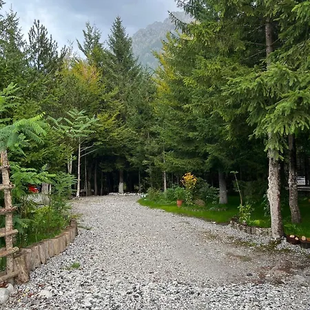 Bujtina Aroma E Malit