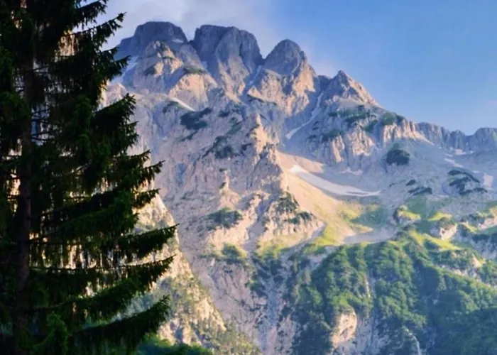 Bujtina Aroma E Malit ホテル