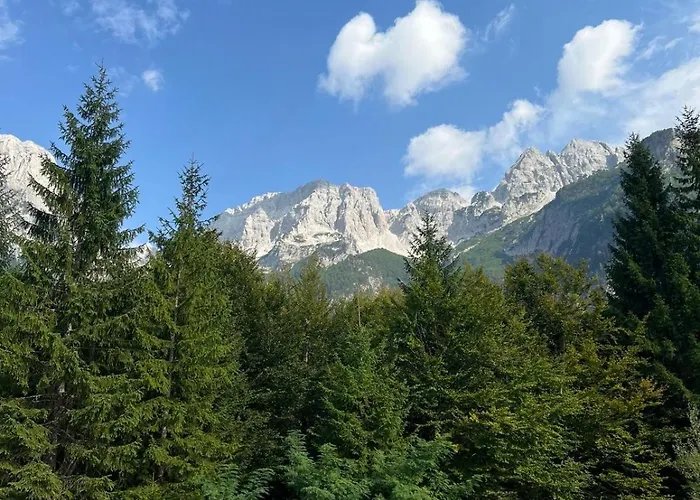 Bujtina Aroma E Malit ヴァルボナ