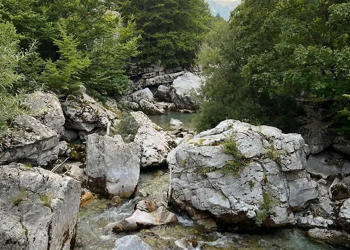 ホテル Bujtina Aroma E Malit