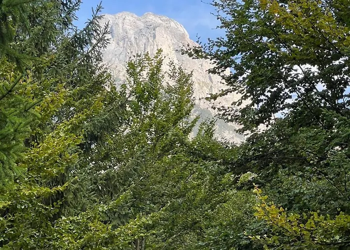 Bujtina Aroma E Malit 3* ヴァルボナ