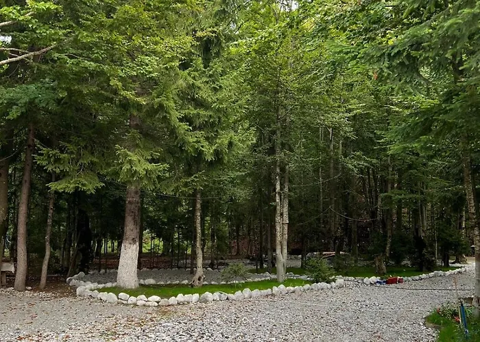 Bujtina Aroma E Malit 3* ヴァルボナ