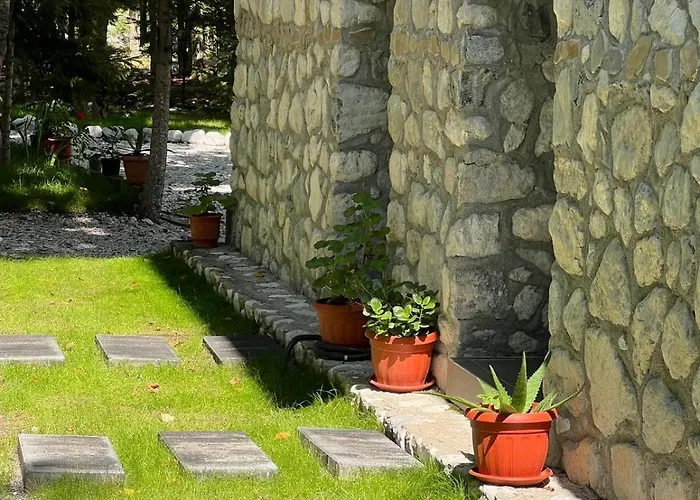 ホテル Bujtina Aroma E Malit 3*