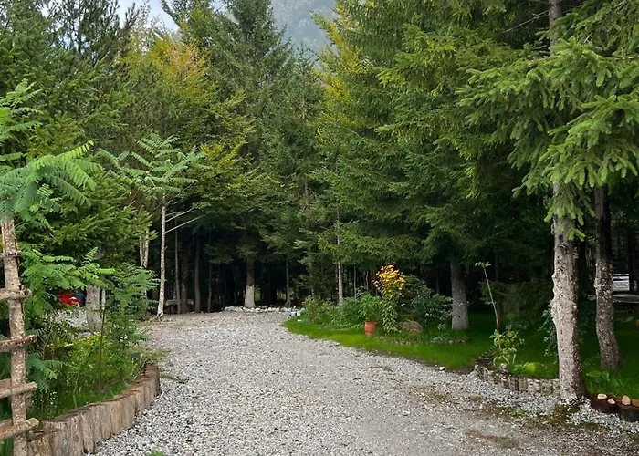 Bujtina Aroma E Malit