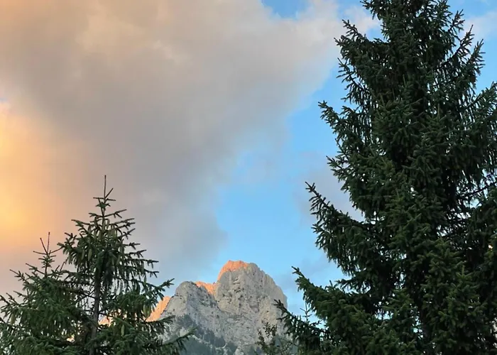 Bujtina Aroma E Malit ヴァルボナ