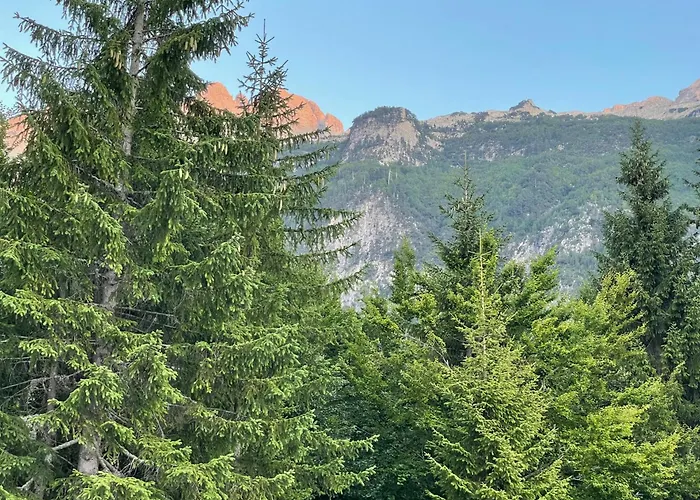 ホテル Bujtina Aroma E Malit ヴァルボナ